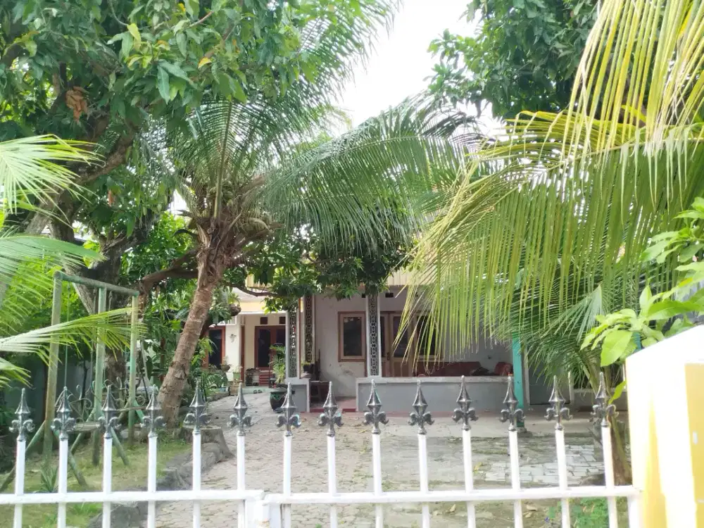 Rumah Murah Luas Dekat Arek Lancor Pamekasan