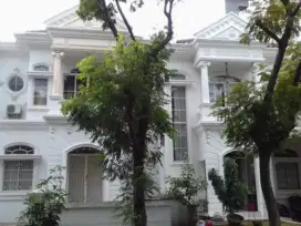 Di Sewa Rumah di Pik2