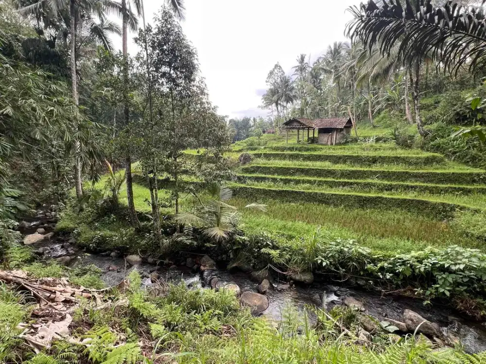 tanah los sungai view sawah cocok untuk villa atau glamping dekat dengan wisata jatiluwih