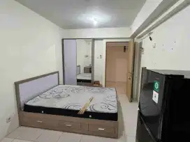 Apartemen studio stamford lantai 31