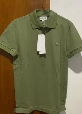 polo lacoste new