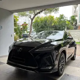 Lexus RX 300 F-Sport 2020