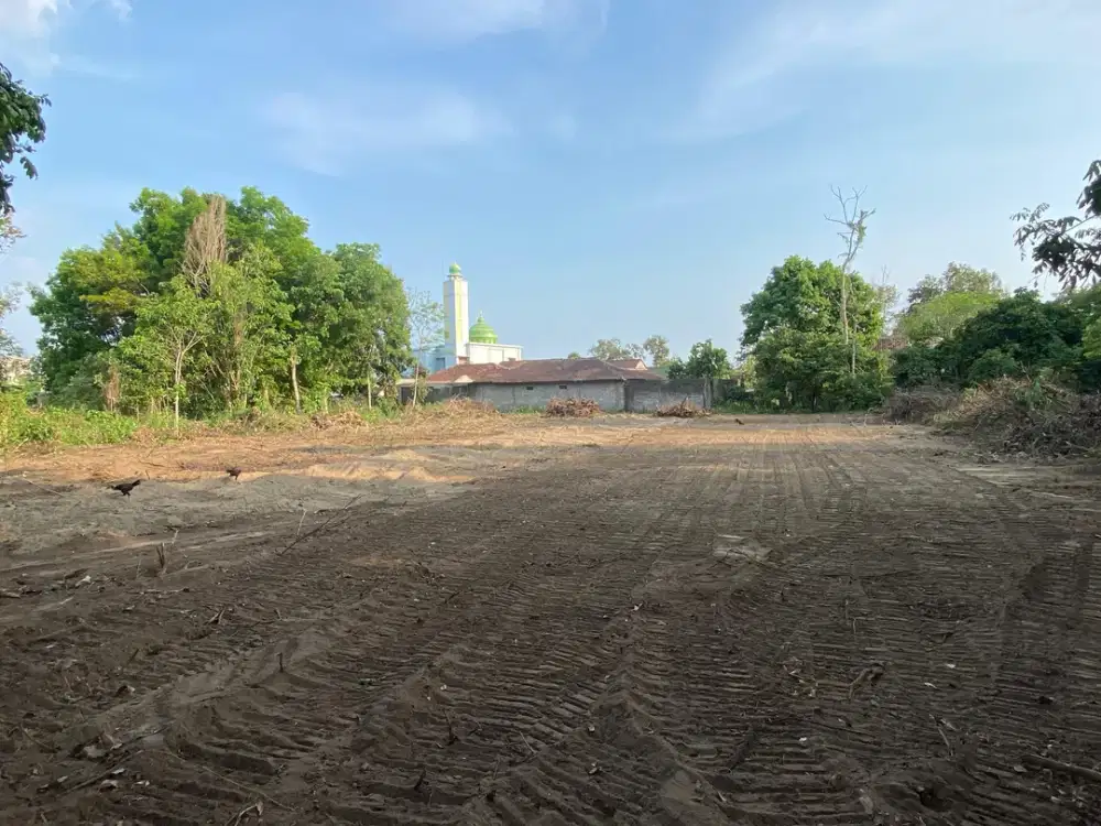 300 Juta Tanah Dekat Stadion Maguwoharjo