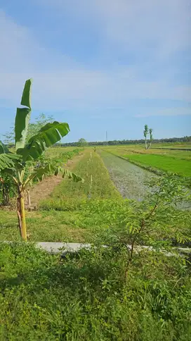 Dijual tanah di Kulonprogo Yogyakarta