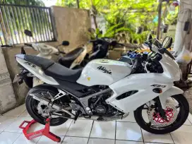 Ninja RR New 2012
