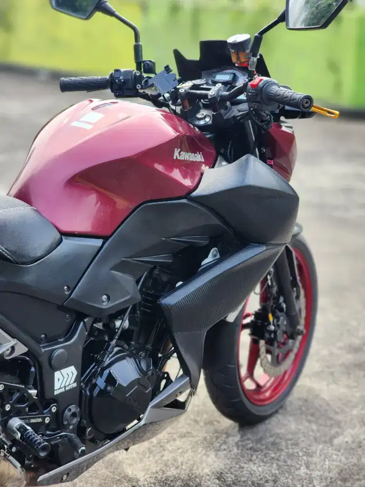 Kawasaki Ninja 250/Z250 Plat DKI