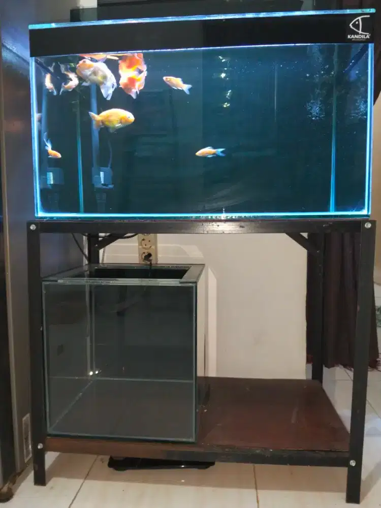 Aquarium fullset