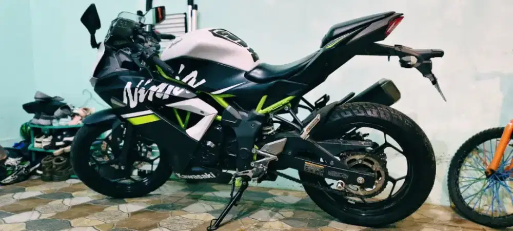 KAWASAKI NINJA 250 SL 2019