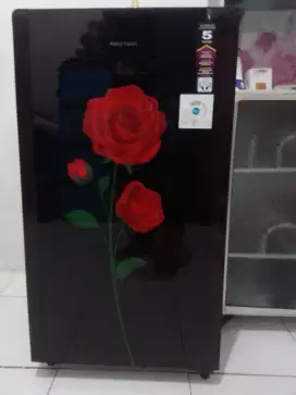 Kulkas Polytron 1 Pintu