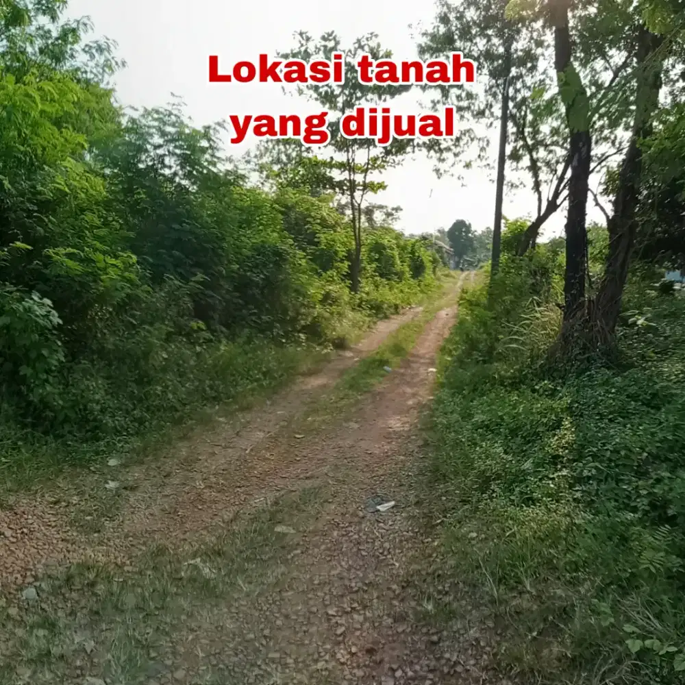 Dijual Tanpa Perantara
Tanah dan bangunan kandang ayam, milik pribadi.