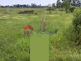 Tanah Jual Gurah Kab Kediri Luas 2645m2