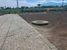Tanah Kavling Murah Lokasi Klampok Singosari Malang Dekat Tumapel