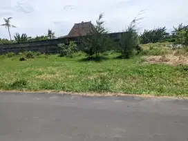 Dekat Pasar Jambon Trihanggo, Tanah Dalam Ringroad Jogja Murah