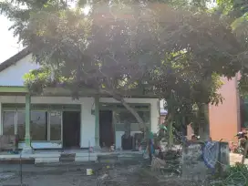 KELURAHAN BANDAR KEDUNGMULYO, JOMBANG