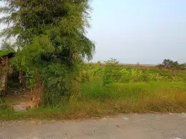 Dijual Cepat Tanah Di Driyorejo