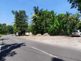 Tanah Nanggulan dijual 80 jutaan dekat Bandara YIA