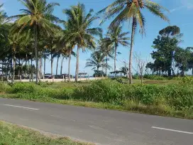 Tanah pinggir pantai mandiri krui