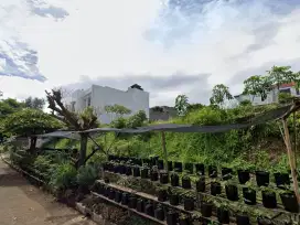 TANAH MURAH SIAP BANGUN DI SETIABUDI REGENCY BANDUNG