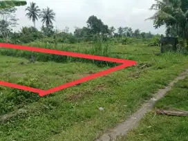 turun harga jual tanah luas597m2 dibarat jl palagan km 15 view sawah