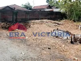 Dijual Tanah Kademangan Blitar Terletak di Belakang SMK 1 Kademangan