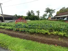 Dijual Tanah dekat kantor camat, SMA Puncu, pasar, dan masjid