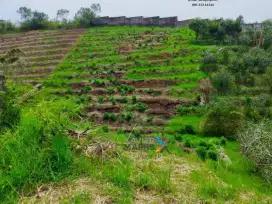 Tanah Ex Kebun Apel Di Bulukerto Bumiaji Kota Batu(OLX148)