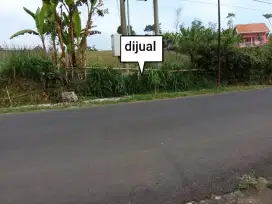 Dijual Tanah    Desa Gendro Nongkojajar,Pasuruan