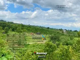 Dijual Tanah Murah Di Bulukerto Bumiaji Kota Batu(OLX147)