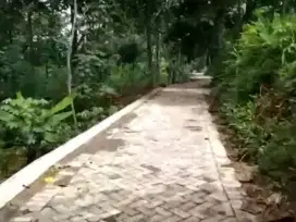 Di Jual Tanah Murah Tejowangi Purwosari Pasuruan Dekat Indolacto