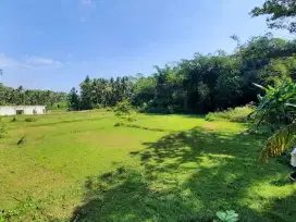 Tanah SHM Jogja, Dekat Wisata & Exit Tol Sentolo
