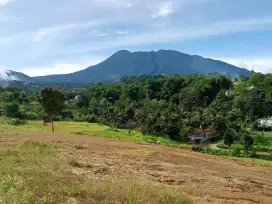 Tanah SHM luas fleksibel di citeko cisarua puncak