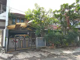 Rumah Asri di Jl Tebet Barat Dalam II Tebet  Jakarta Selatan