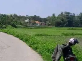 Dijual Kavling Tanah Sawah di Kec. Rajeg Tangerang By Rumah Chinida