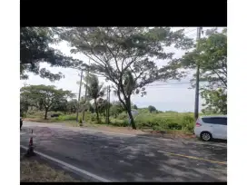 Dijual  Tanah Desa Kapongan  Situbondo