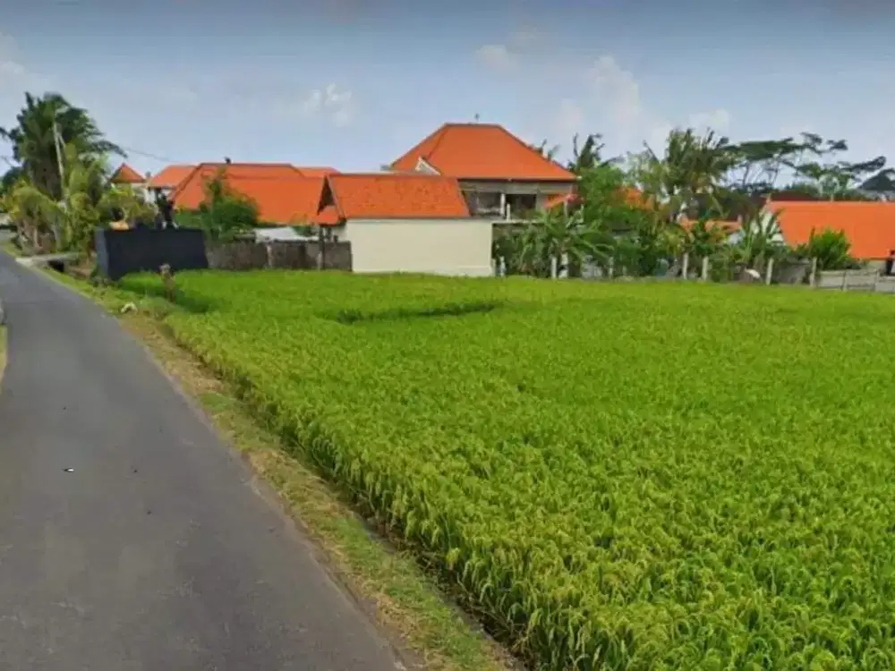 PREMIUM LAND IN MENGENING CEMAGI BEACH - BALI