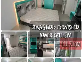 Sewa type studio apartemen Bassura City tower Cattleya