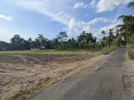 AREA KAMPUS UII 3 JUTAAN: Tanah View Sawah Jl Kaliurang Jogja