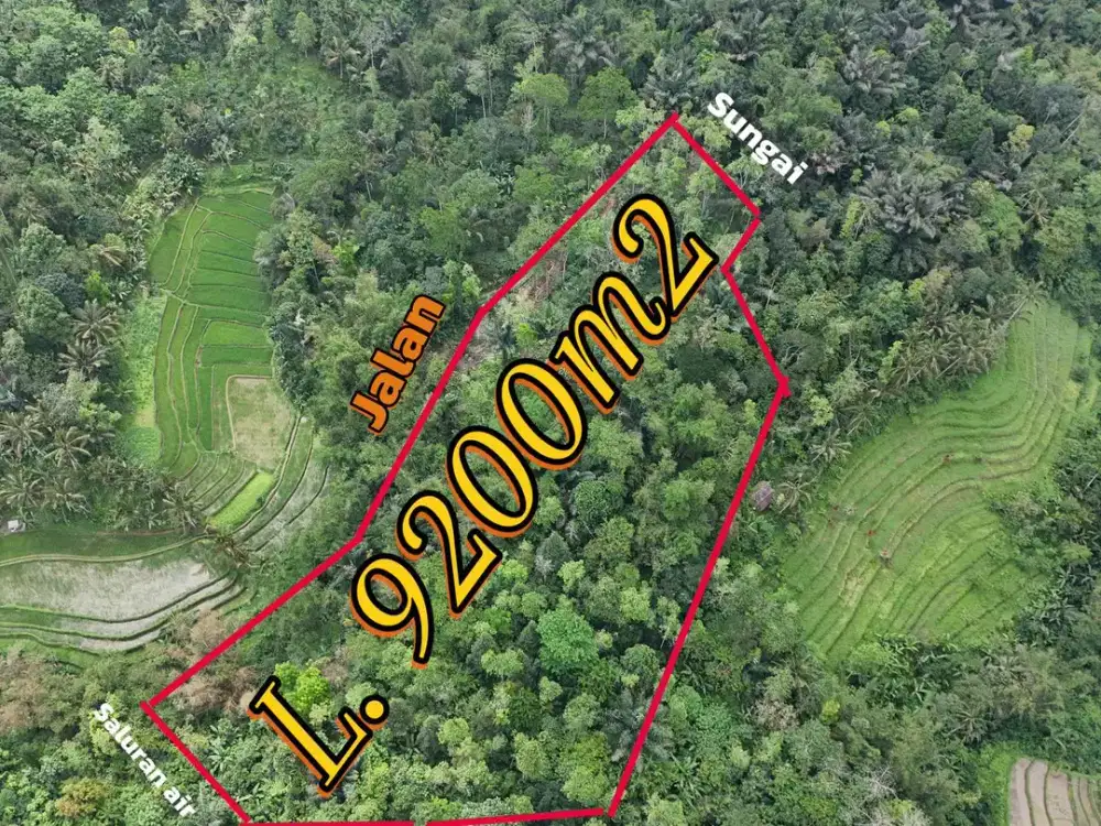 di jual tanah dengan view sawah ,sungai dan jungle cocok untuk villa