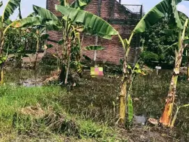 DIJUAL TANAH JAPANAN KOTA PASURUAN