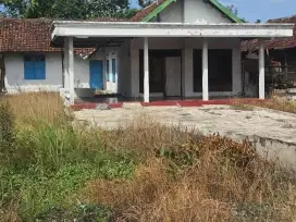 Rumah Kelurahan Balongmacekan Kec Tarik Kab Sidoarjo