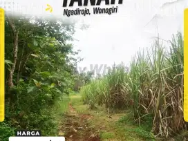 Tanah Murah Meriah SHM Pertanian di Ngadirojo Lor, Wonogiri