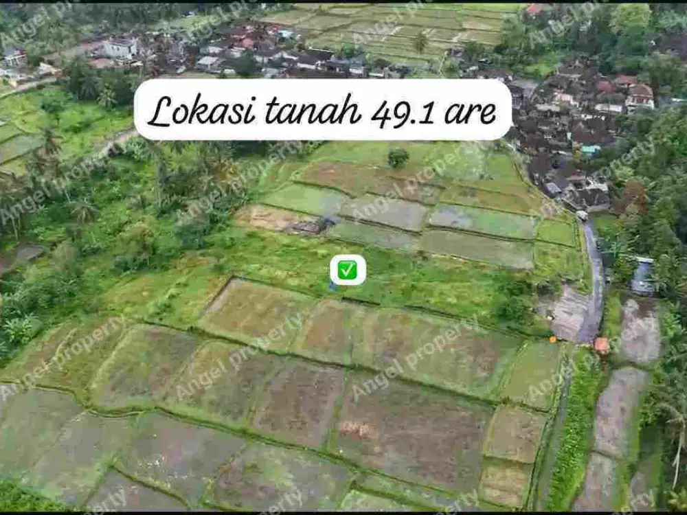 DIJUAL DAN DISEWAKAN TANAH TEGALALANG UBUD COCOK UNTUK VILLA DAN RESORT