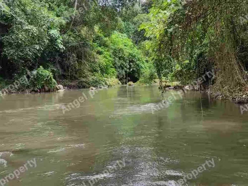 DIJUAL TANAH VIEW LOS PANTAI WOS UBUD