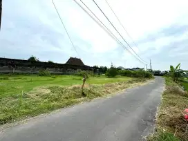 Jual Tanah Murah Sleman Dekat Jalan Kabupaten