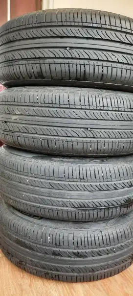Ban Champiro Ecotec 205/65R16