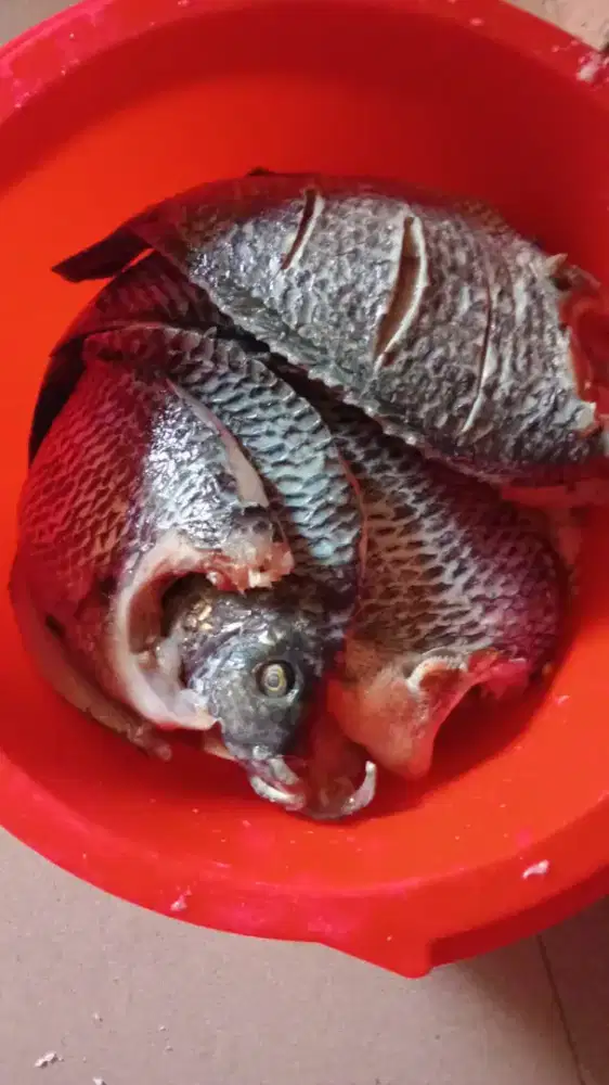 MASAK + JAGA ANAK 5 TAHUN