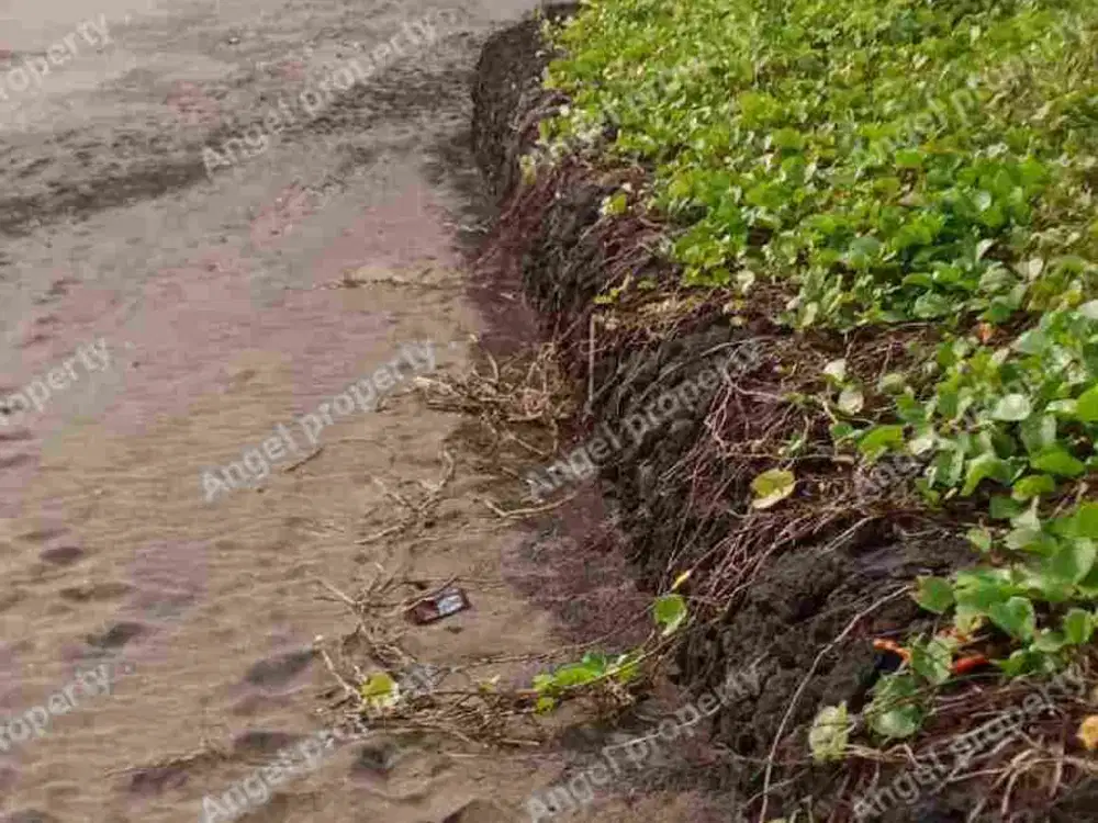 DIJUAL TANAH LOST PANTAI PANGKUNG TIBAH