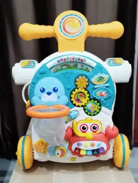 Push Walker Grande Activity 5in1