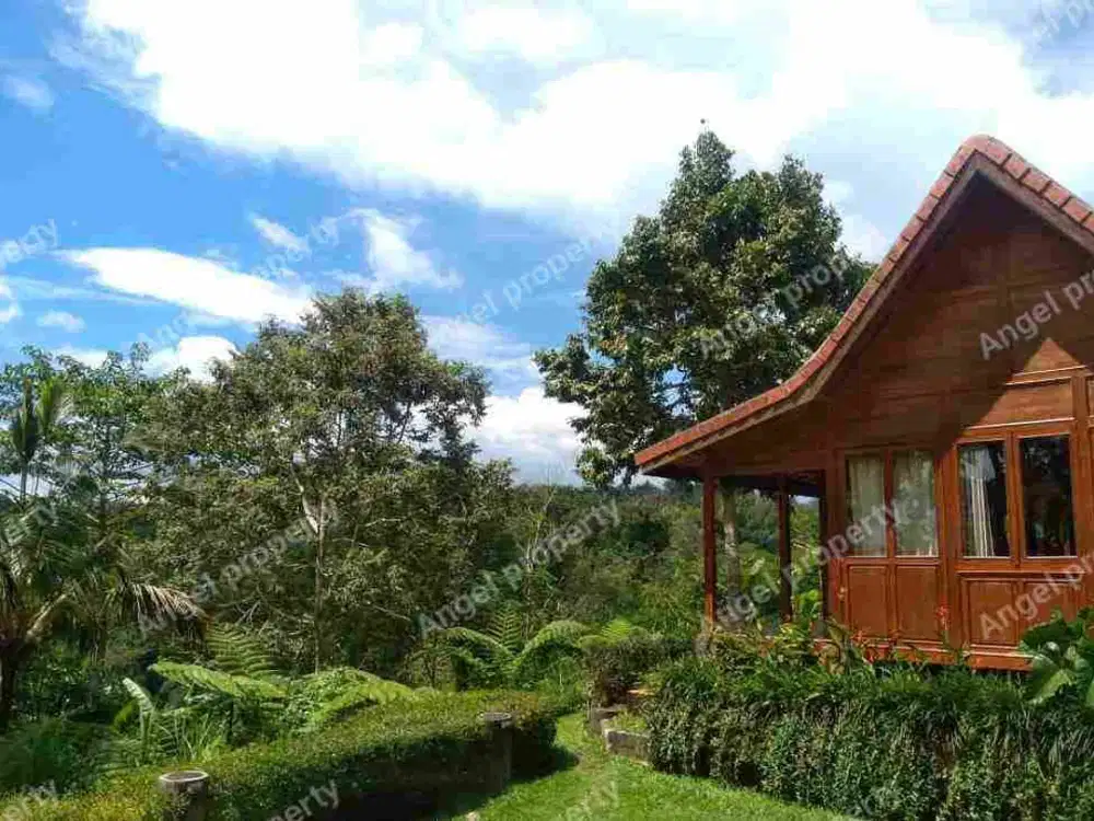 DIJUAL VILLA WITH KONSEP RUMAH KAYU VIEW JUNGLE