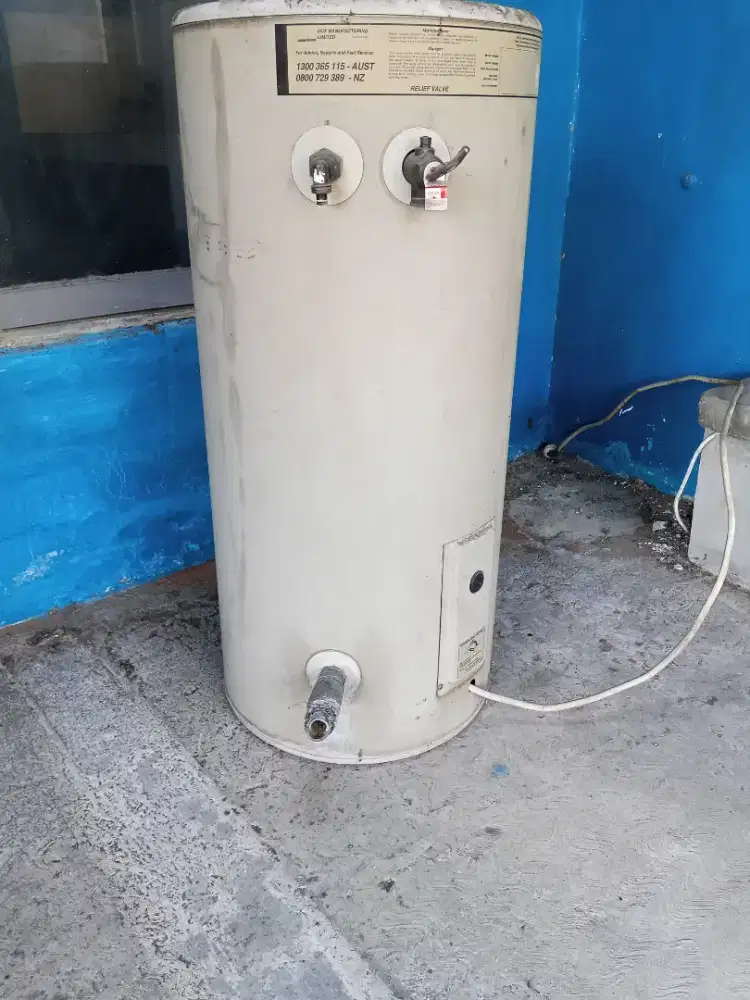 Water Heater 100L Dux Forte